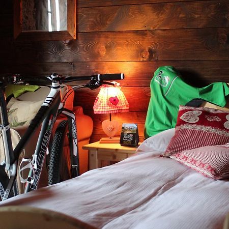 Eirl Dolomites Retreat Sappada Bed & Breakfast エクステリア 写真